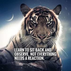 Meet your Posher, Celeste